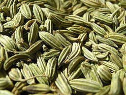 Seeds of Sweet Fennel (Foeniculum vulgare)