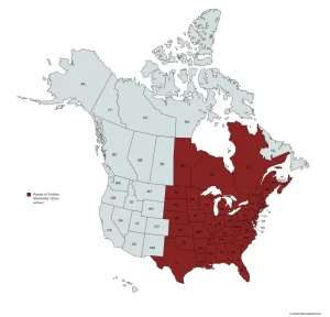 Range map of golden alexander (Zizia aurea) in the United States and Canada.