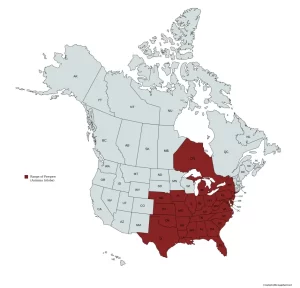 Range map of Pawpaw (Asimina triloba) in the United States and Canada.