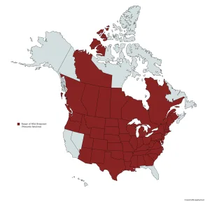 Range of wild bergamot (Monarda fistulosa) in the United States and Canada.