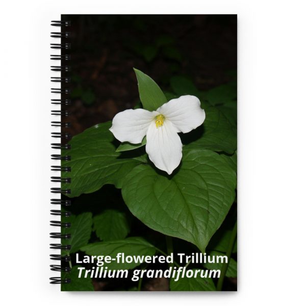 Large-flowered trillium notebook