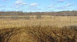 Meadow in Lexington, MA