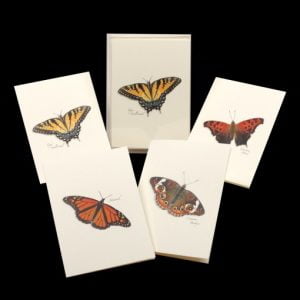 Assorted Butterfly Notecards
