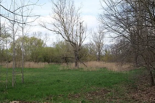 River Floodplain habitat