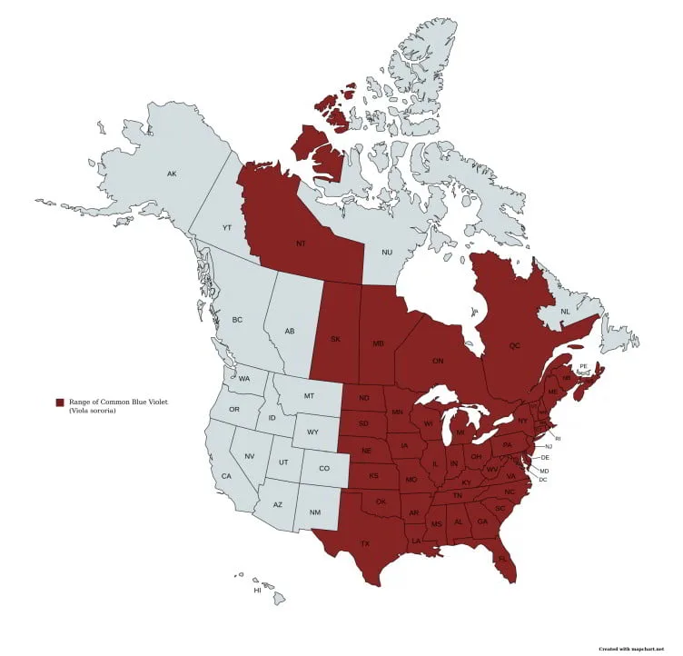 Range map of Common Blue Violet (Viola sororia) in the United States and Canada.