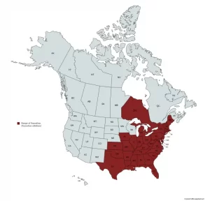 Range map of Sassafras (Sassafras albidum) in the United States and Canada.