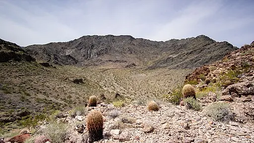 Mojave Desert in California.