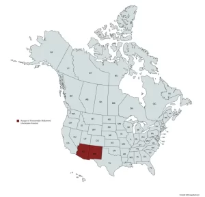 Range map of Pineneedle milkweed (Asclepias linaria) in the United States and Canada.