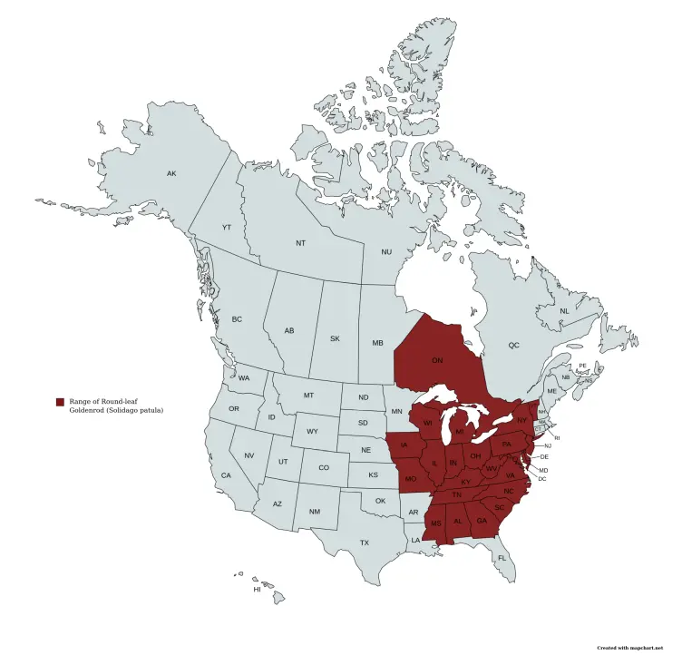 Range map of Roundleaf Goldenrod (Solidago patula) in the United States and Canada.