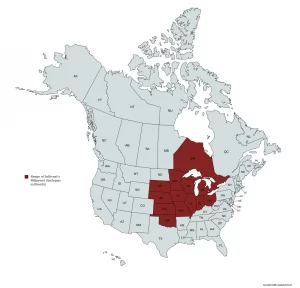 Range map of Sullivant's Milkweed (Asclepias sullivantii) in the United States and Canada.