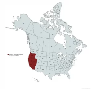 Range map of heart-leaf milkweed (Asclepias cordifolia) in the United States and Canada.