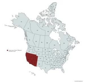 Range map of desert milkweed (Asclepias erosa) in the United States and Canada.