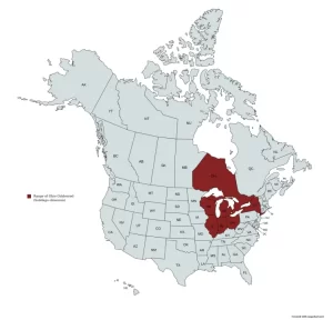 Range map of Ohio goldenrod (Solidago ohioensis) in the United States and Canada.