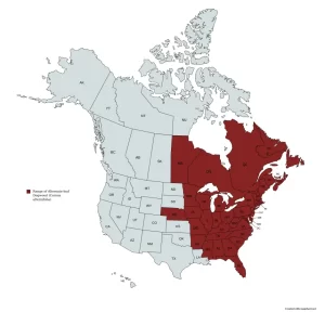 Range map of alternate-leaf dogwood (Cornus alternfolia) in the United States and Canada.