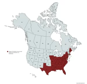 Range map of southern arrow-wood (Viburnum dentatum) in the United States and Canada.