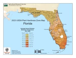 State-Florida